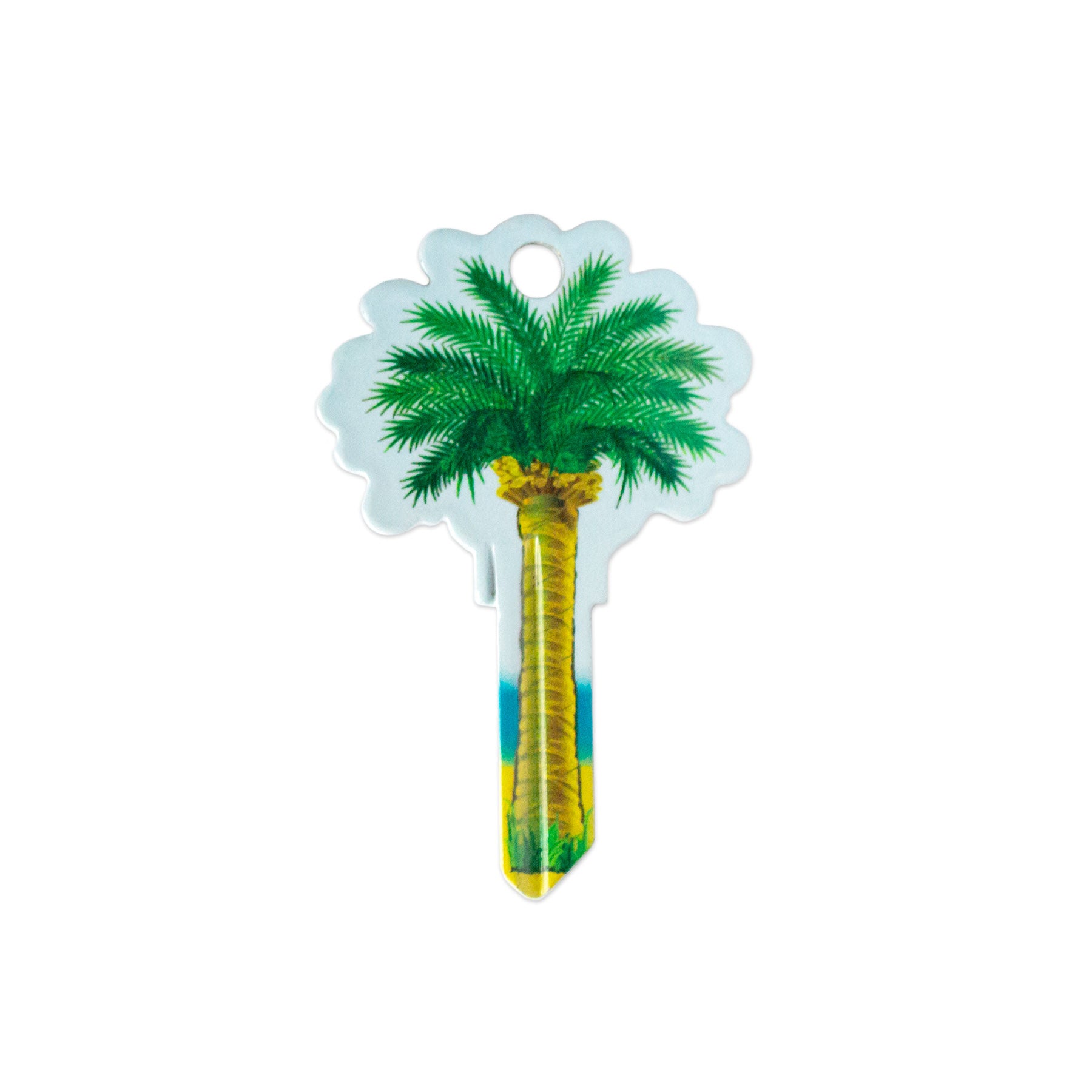 palm tree lucky plant Palm